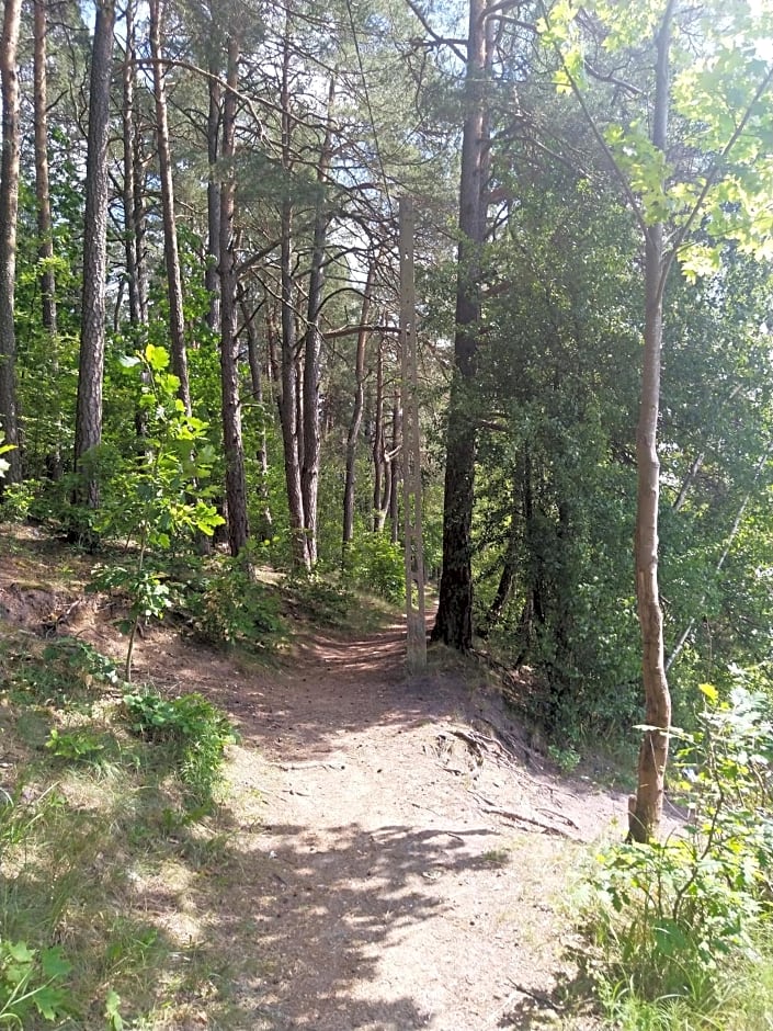 Nadbrzegiem Szczycionek - Domy całoroczne nad jeziorem