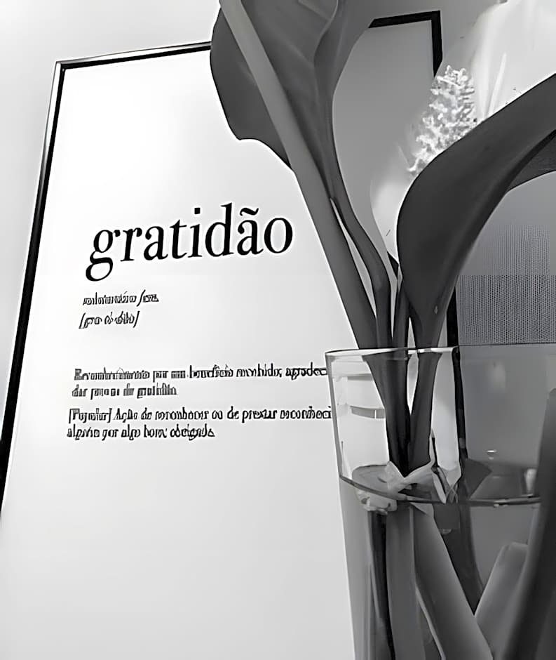 Studio BSB Nova Capital.