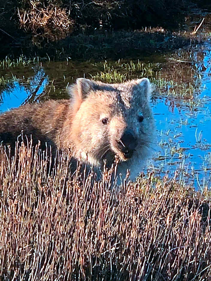 Thousand Lakes Lodge