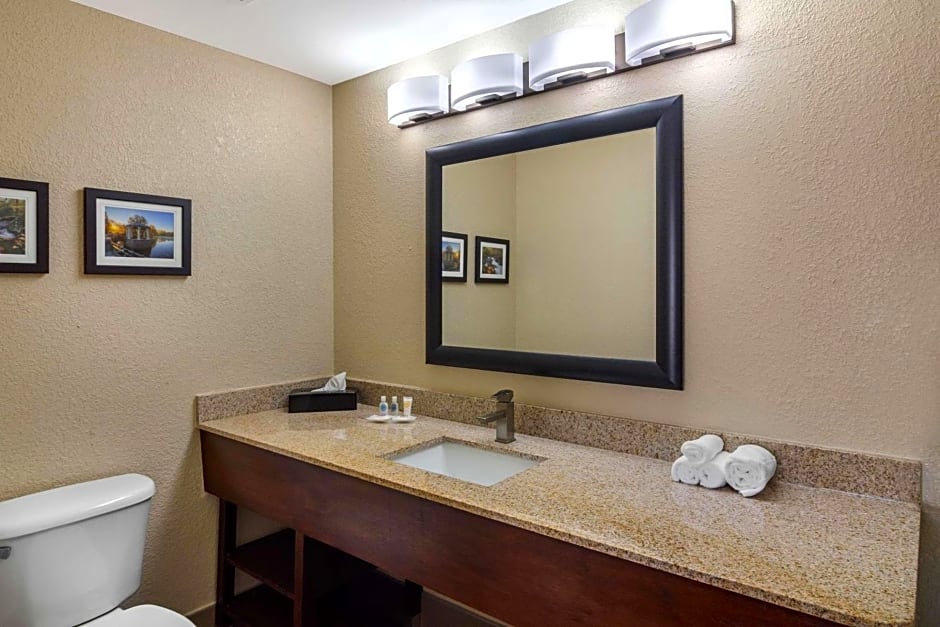 Comfort Suites Woodstock - Atlanta North