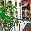 Hotel Carlton Capri