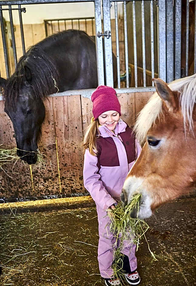 Bauernhof Hotel Oberschwarzach