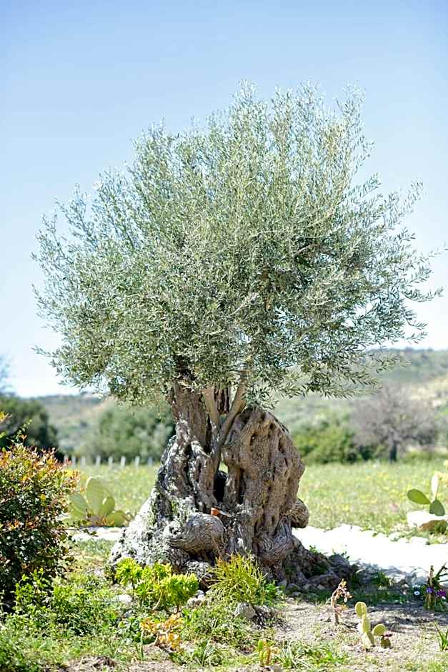 LUCCICAMARE family-run BeB