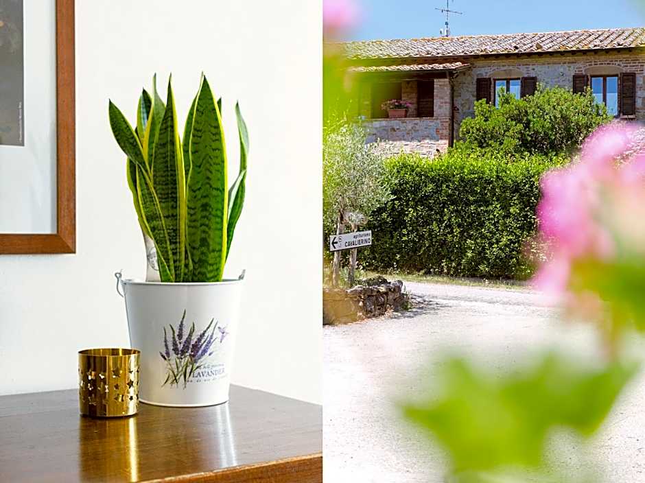 Agriturismo Cavalierino