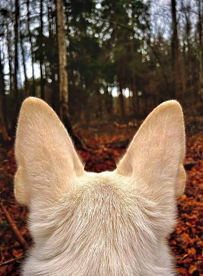 ibis budget Muenchen Putzbrunn