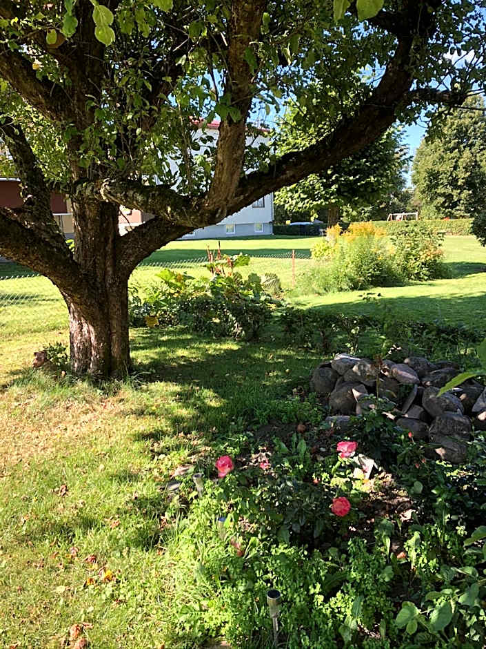 untagged