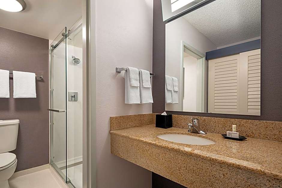 Photo 1 of 1 of 1 Bedroom 1 King Bed with Sofabed Suite, Mobility Accessible, Bathtub