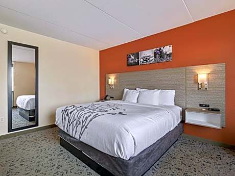 1 King Bed Nonsmoking
