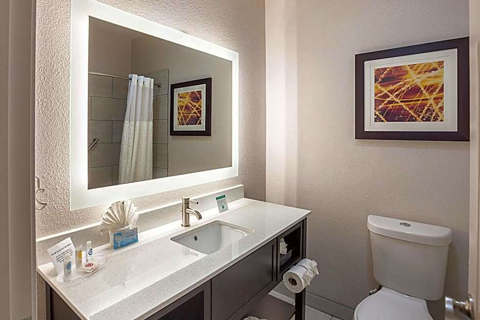 Comfort Suites Lewisville - Dallas