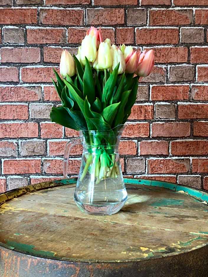 Loch Ness Backpackers Lodge