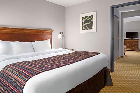 1 King Bed, Suite, Nonsmoking