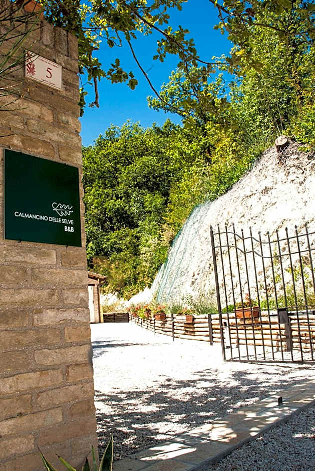 Calmancino delle Selve