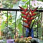 Papaya Guesthouse