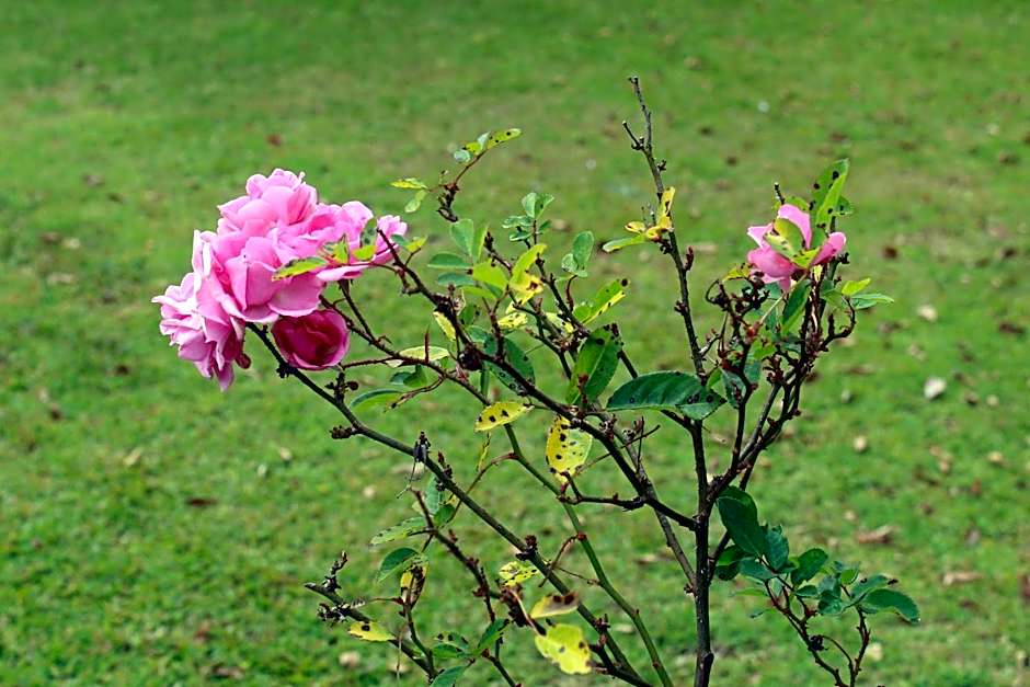 Casa Aconchegante no Capivari