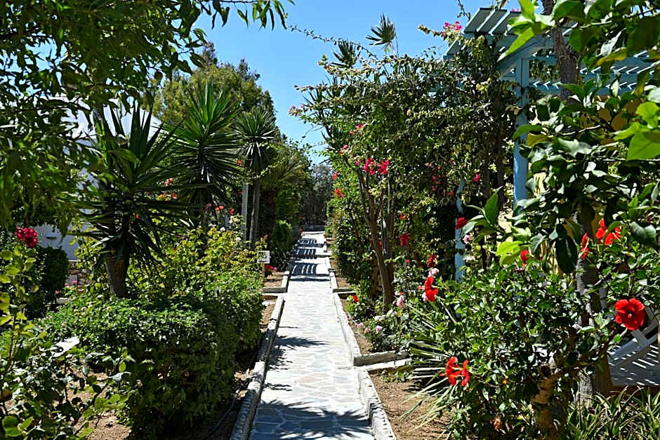 Surfing Beach Village Paros