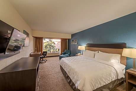 King Room with Garden View - Non-Smoking