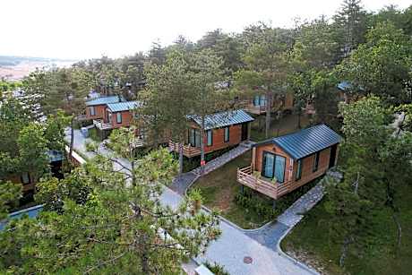 Nefes Dağyenice Doğada