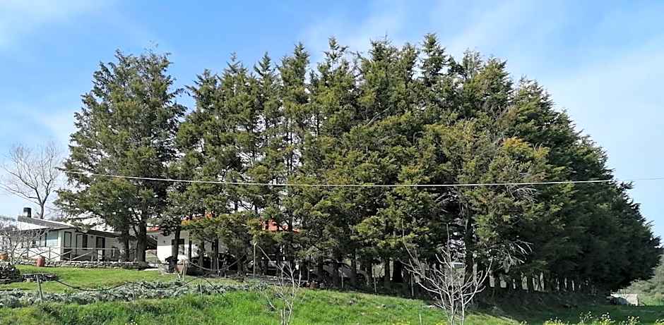 B&B Tenuta Piano Campo