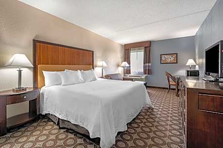 1 King Bed Nonsmoking Accessible