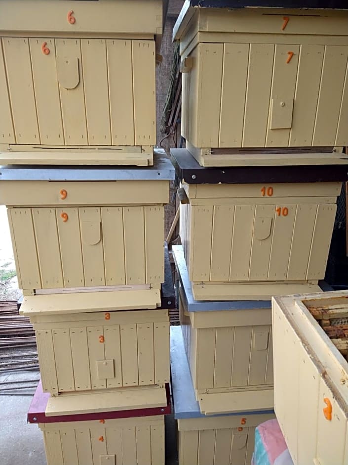 Agroturystyka Cold Sea