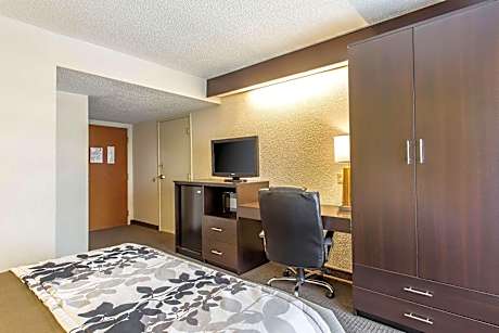 King Room - Non-Smoking
