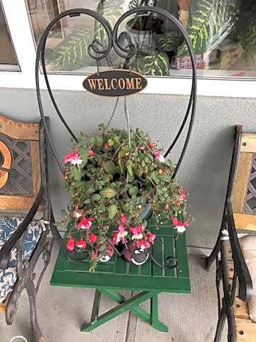 Shoreside Inn & Suites