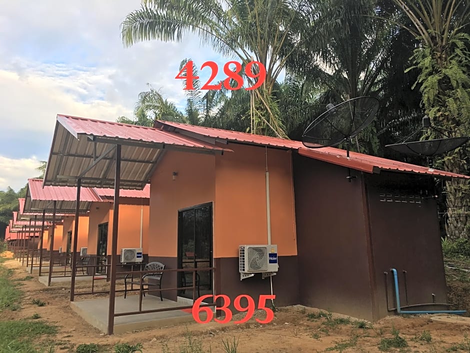 Khao Sok Evergreen House