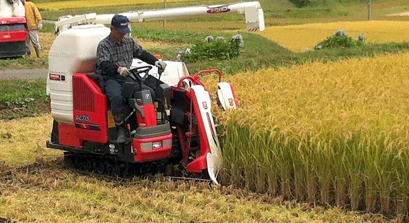 Highland Lodge Takegen