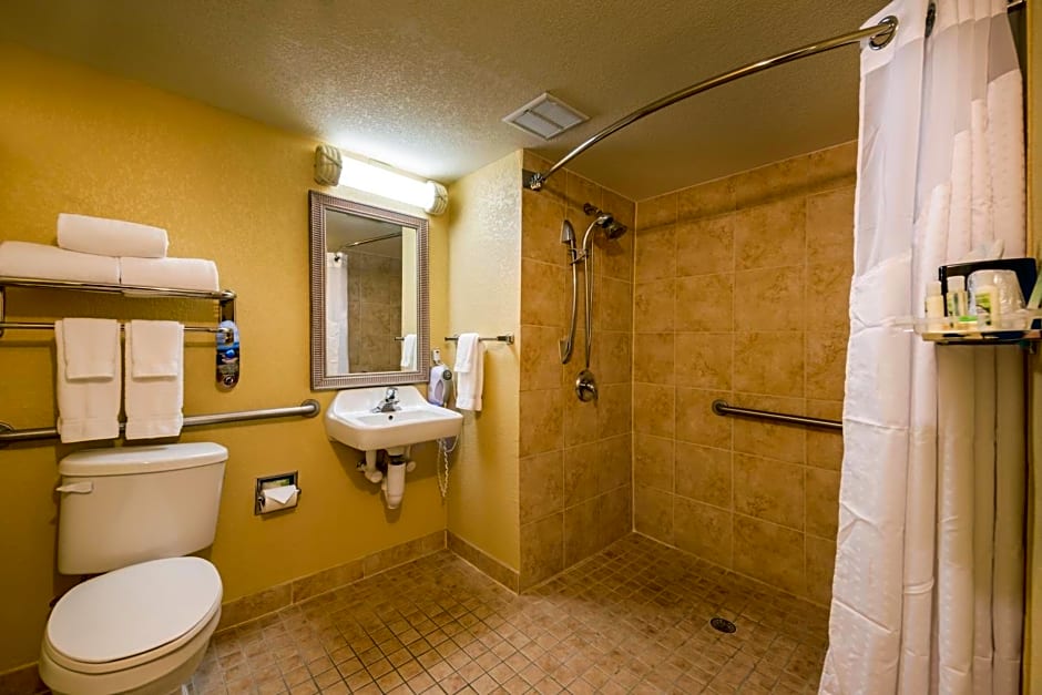 Holiday Inn & Suites Orlando SW - Celebration Area By IHG