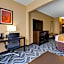Comfort Suites Lake Ray Hubbard