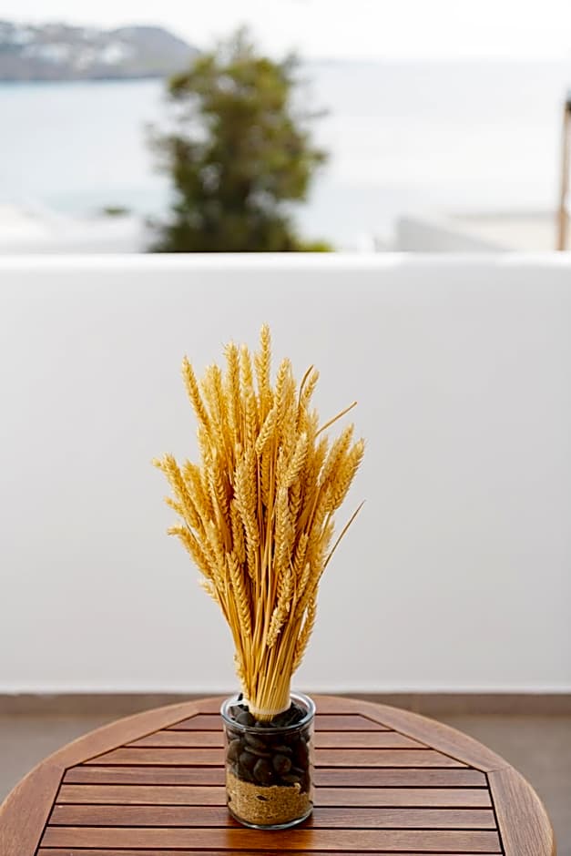 Lithos by Spyros & Flora