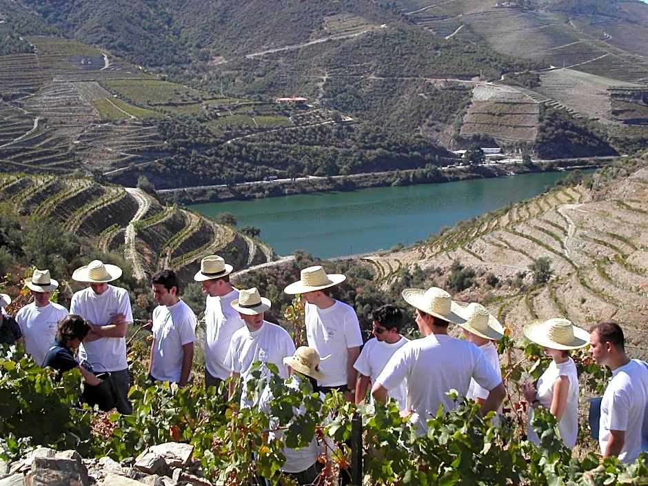 Quinta Nova Winery House - Relais & Châteaux