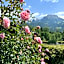 Aparthotel Hochfeld
