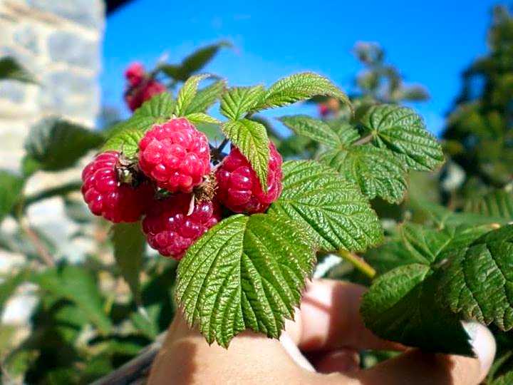 Casa Rural Etxegorri