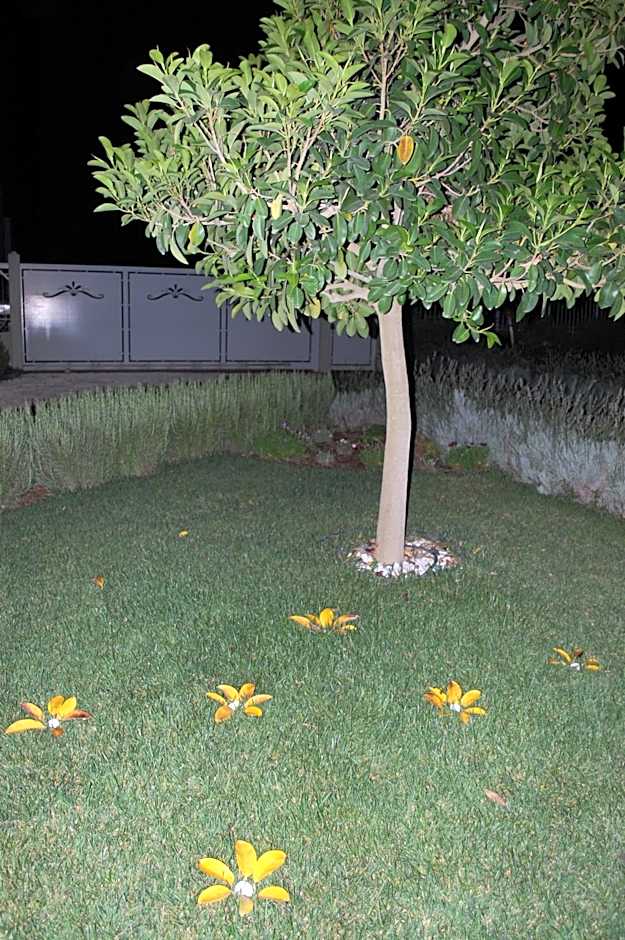 All'ombra del Carrubo - Metaponto