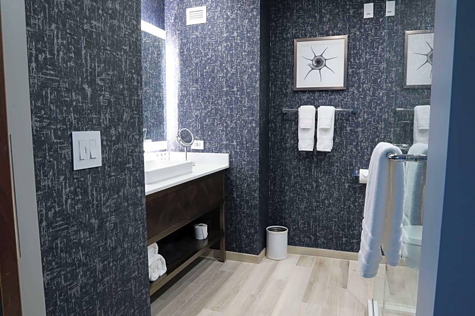 Photo 1 of 11 of 1 King Bed, Mobility Accessible, Bathtub, City View