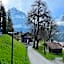 Eiger View Alpine Lodge