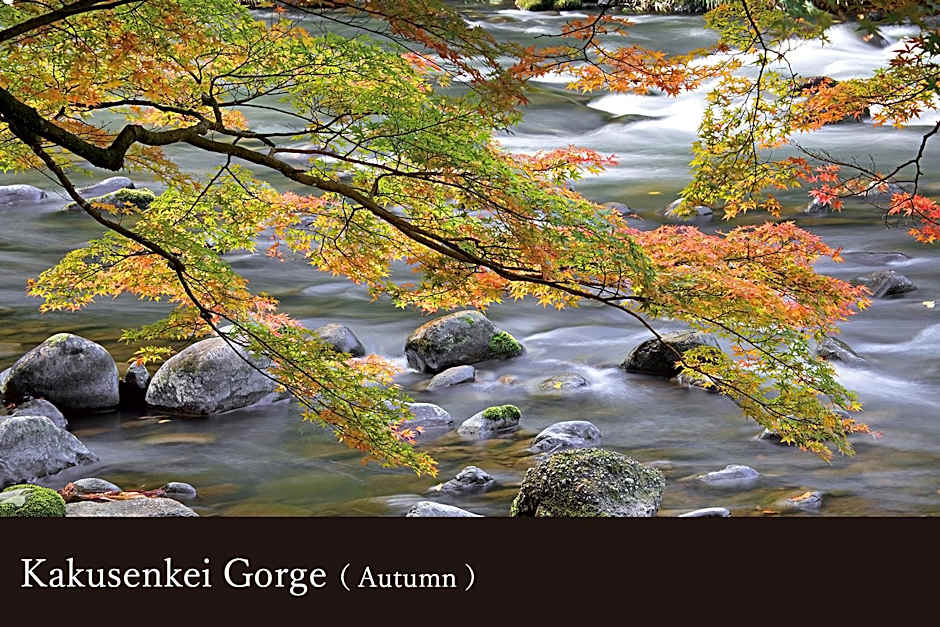 Yamanaka Onsen Kissho Yamanaka