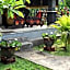 TEGAL SARI, Pemuteran- North Bali