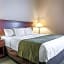 Comfort Inn & Suites Tuscumbia - Muscle Shoals