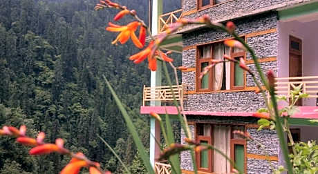 The Forest Pinnacle & Cafe , Sojha