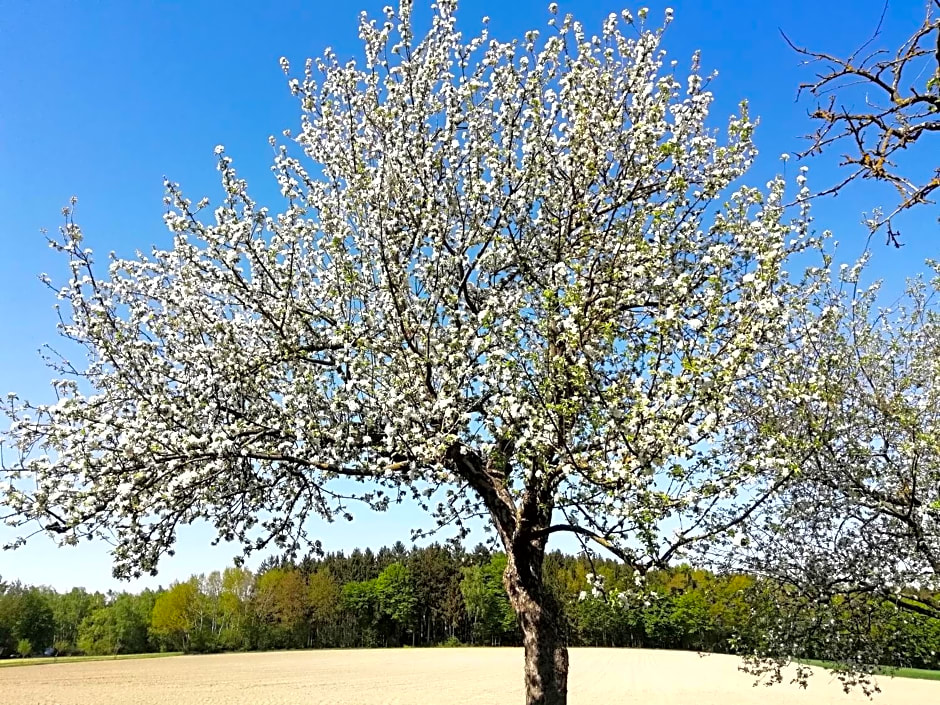 Landhaus Schaidreith