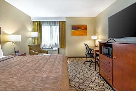 1 King Bed Non-Smoking Pet Friendly Room Microwave And Refrigerator Wi-Fi Full Breakfast