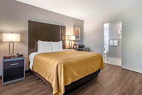 Accessible Room, 1 Queen Bed, Tub, Non Smoking