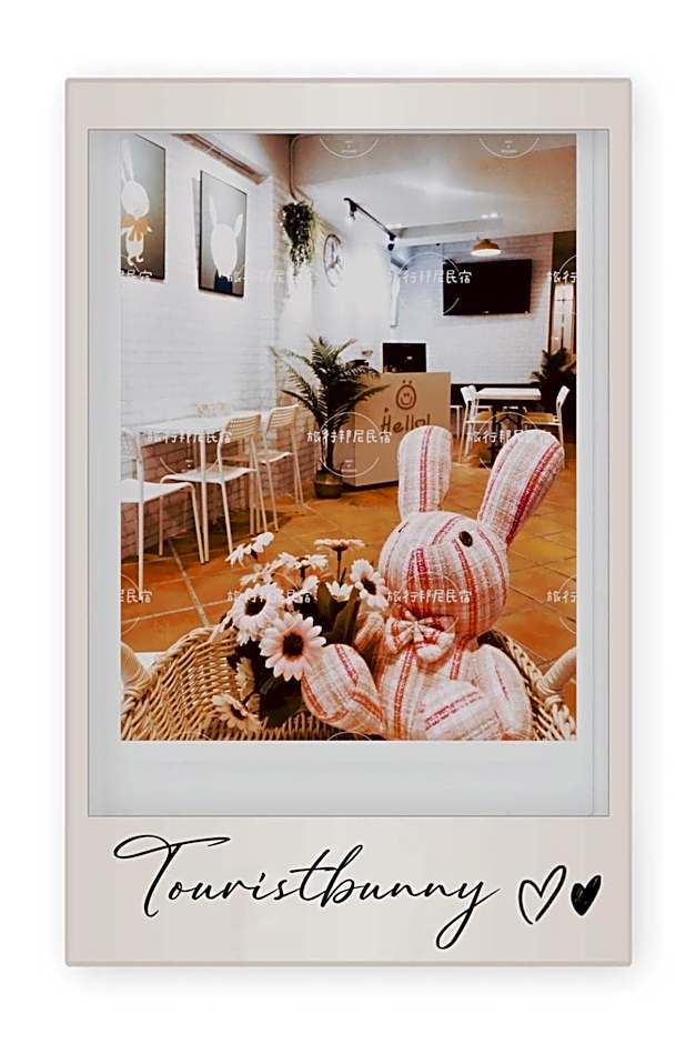 tourist Bunny Hostel