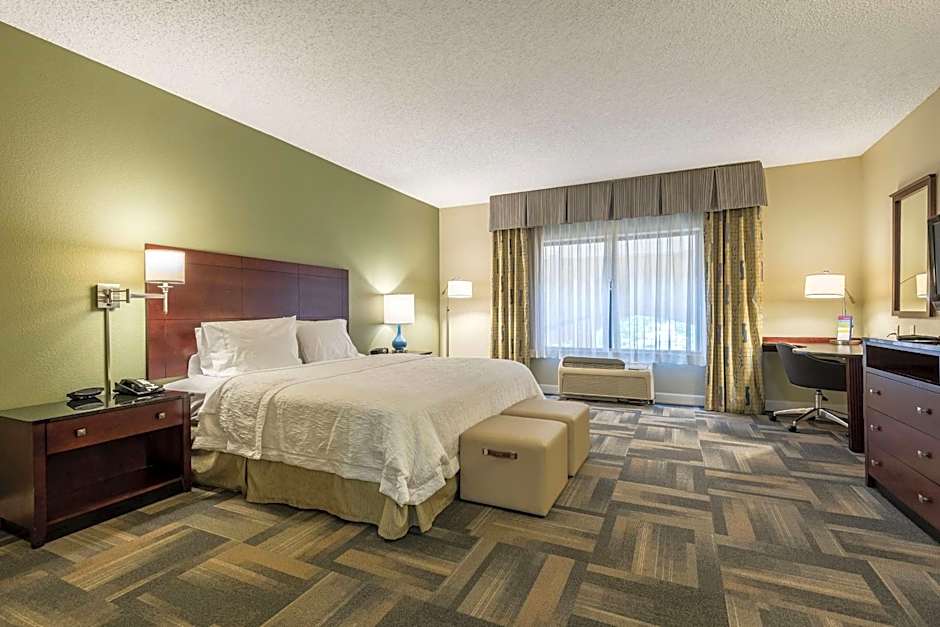 Hampton Inn By Hilton & Suites Orlando-South Lake Buena Vista
