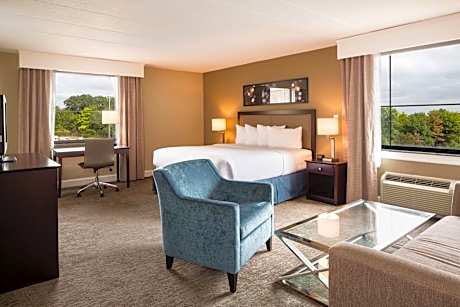 Junior King Suite with Sofa Bed