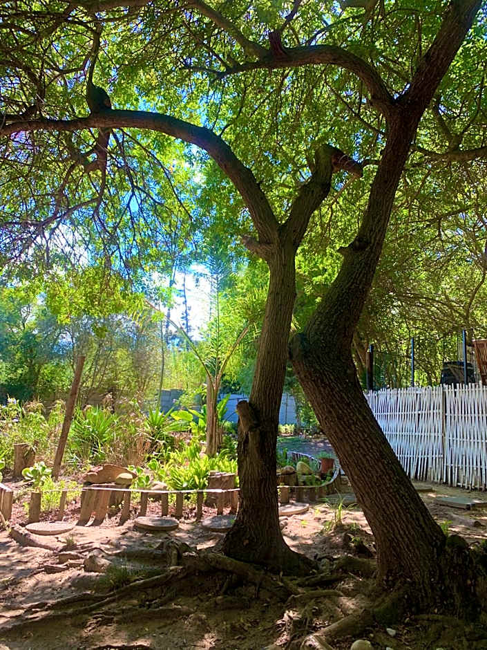 The Little Hideaway Guesthouse