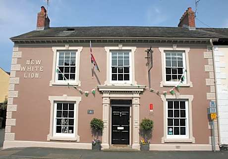 The New White Lion