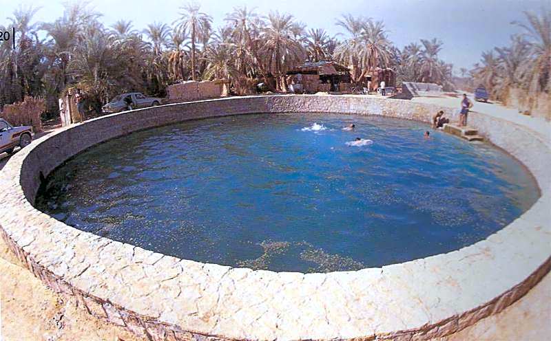 Western Desert Hotel & Safari